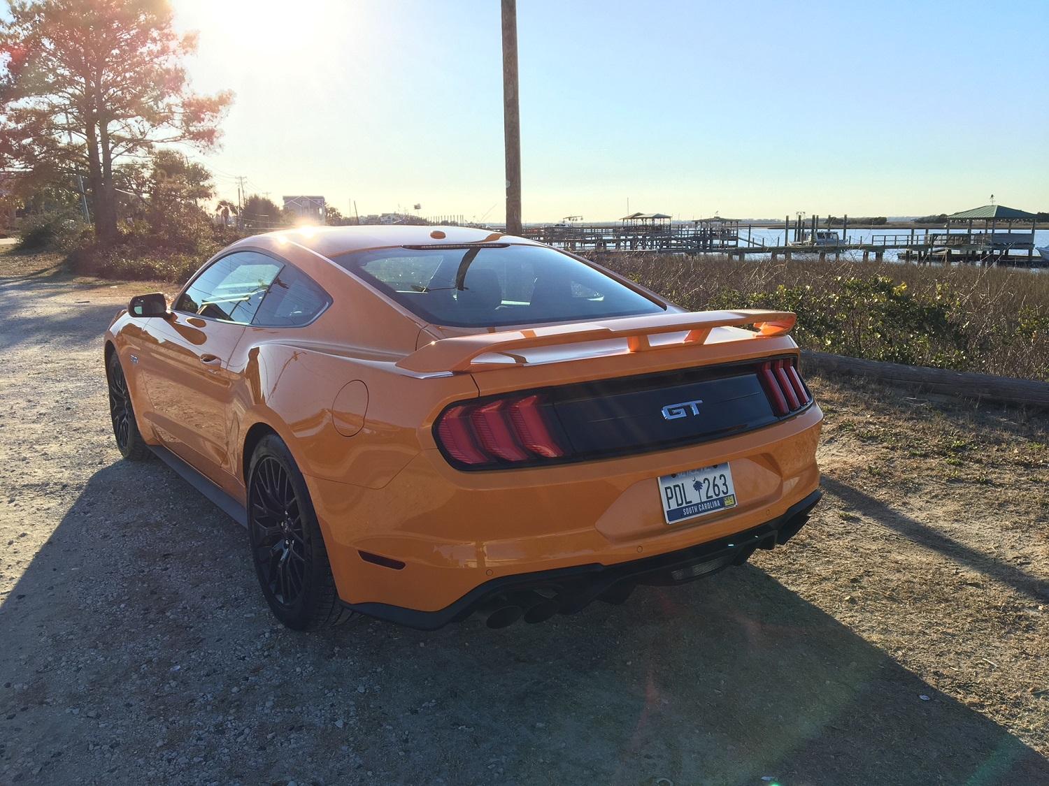 Mustang3.jpg