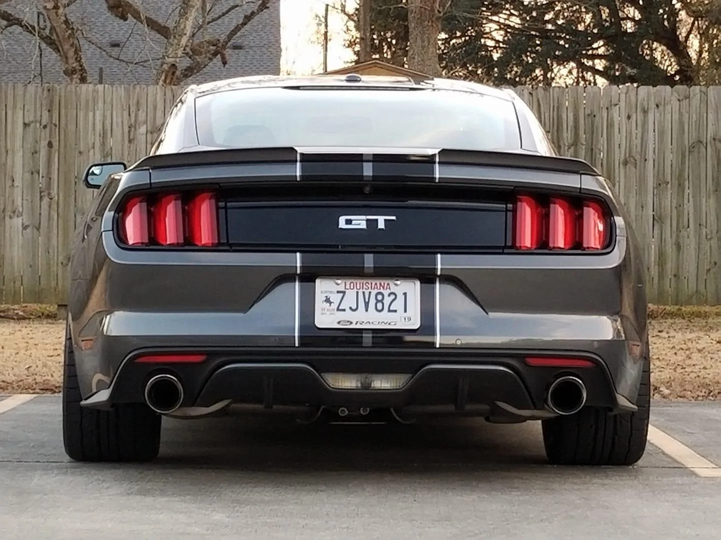 mustang rear2.webp