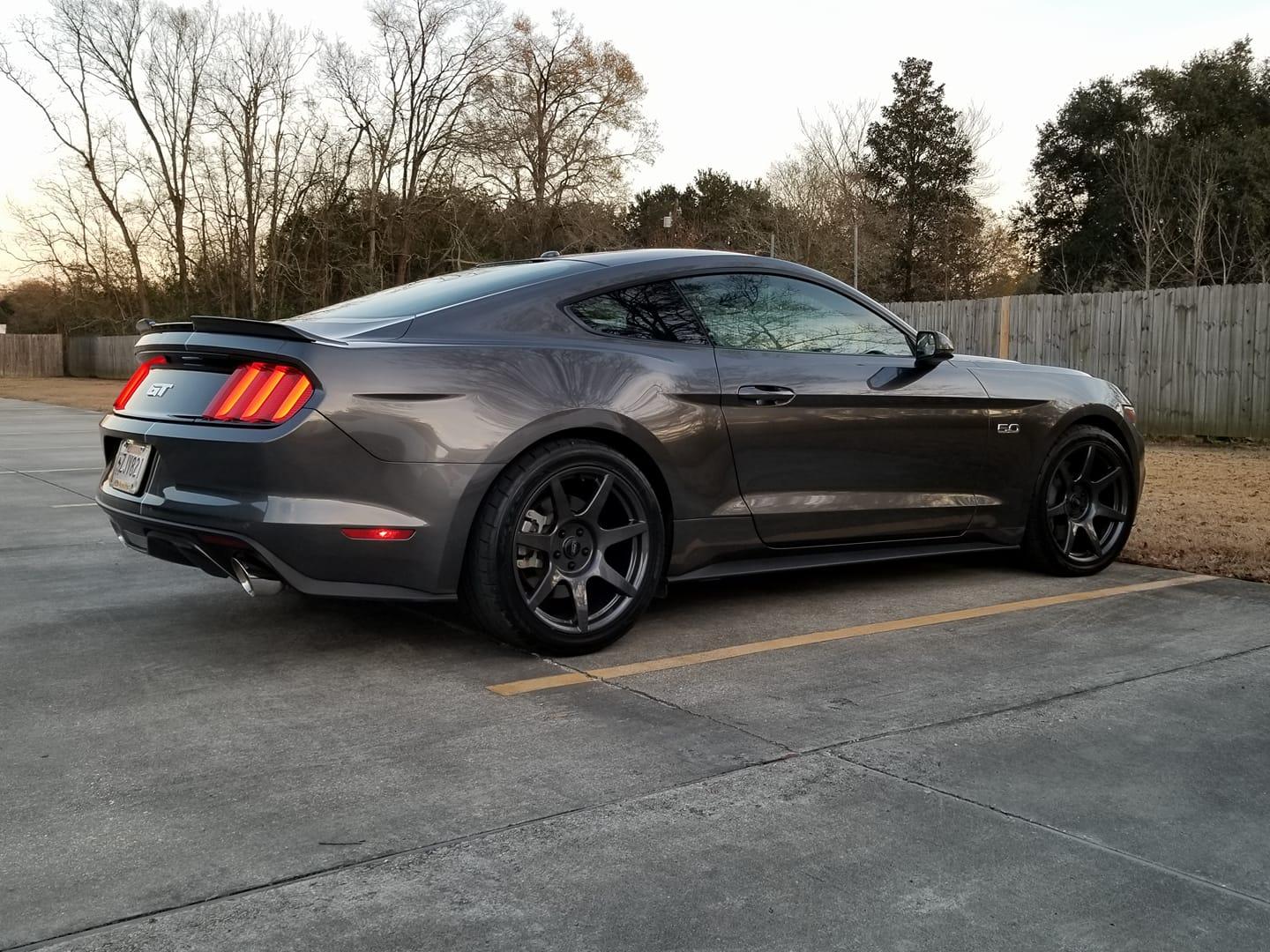mustang rear.jpg