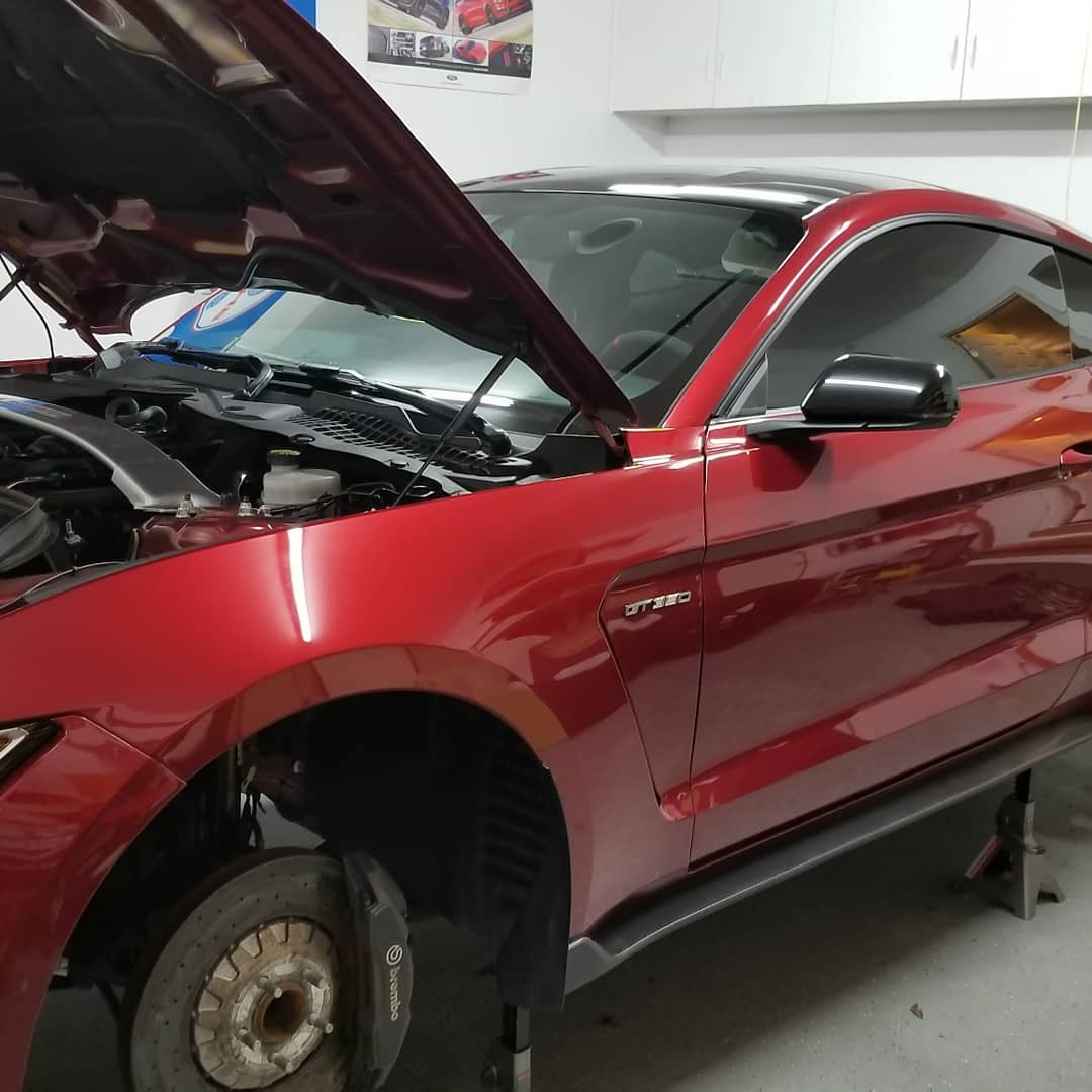 Car on jack stands.jpg