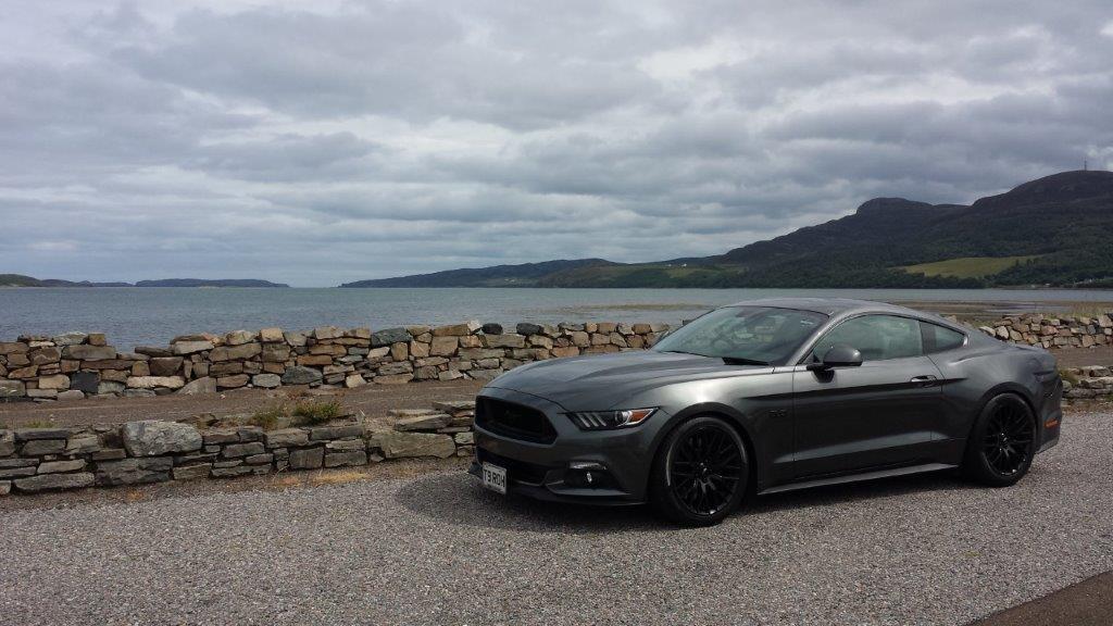 stang at tongue - small file size.jpg