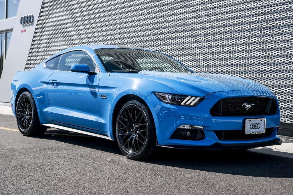 Mustang 02.jpg