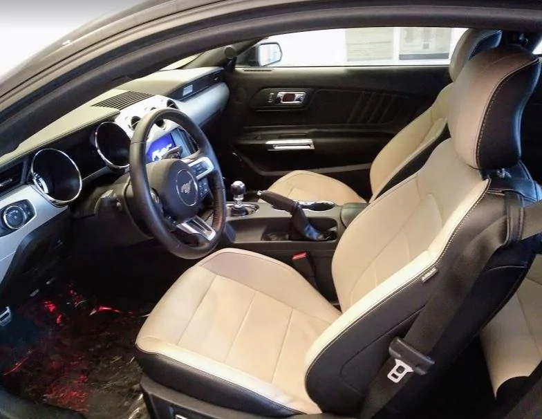Thunder Interior.webp