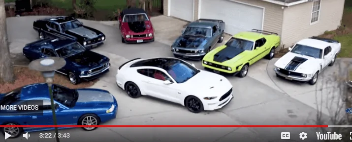 mustang.webp