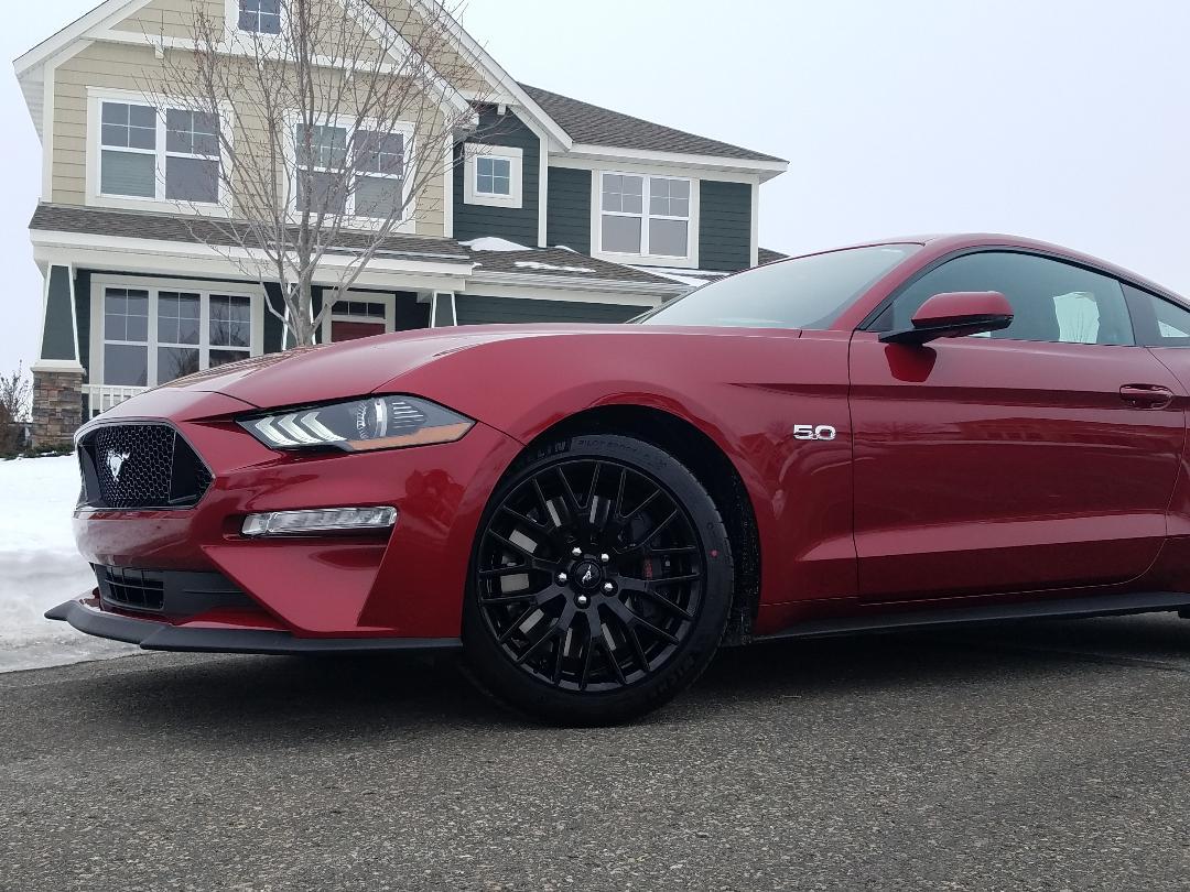 2018 GT 6.jpg