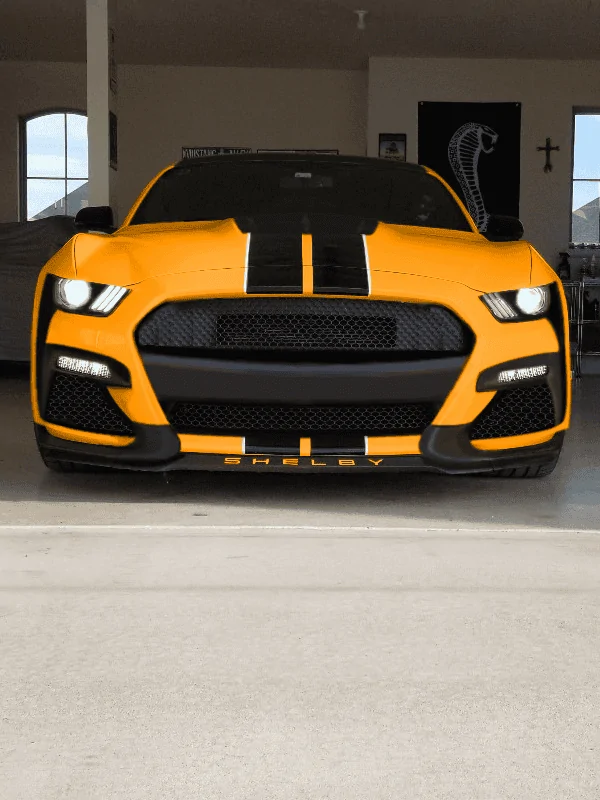 OF GT500.webp