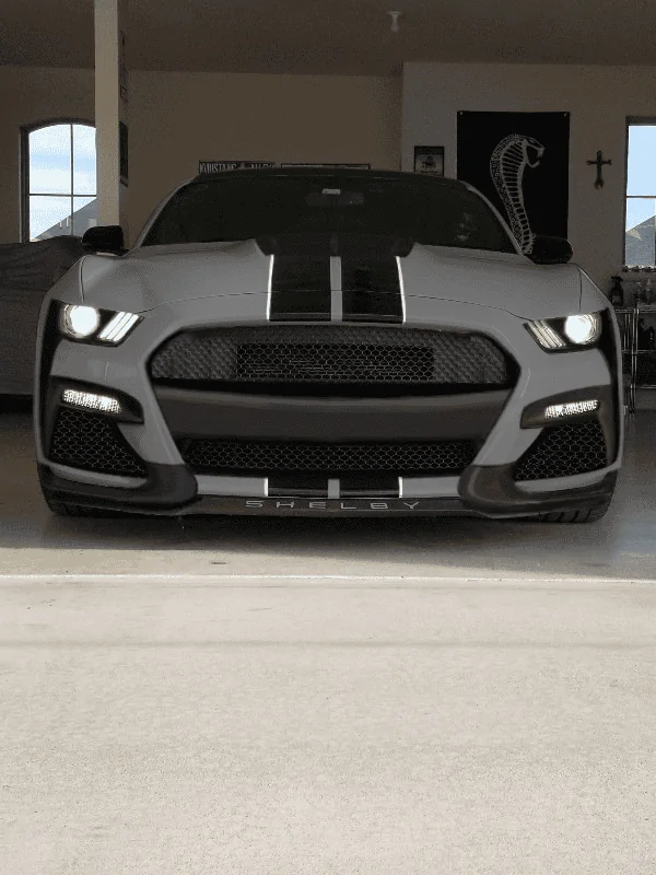 LFG GT500.webp