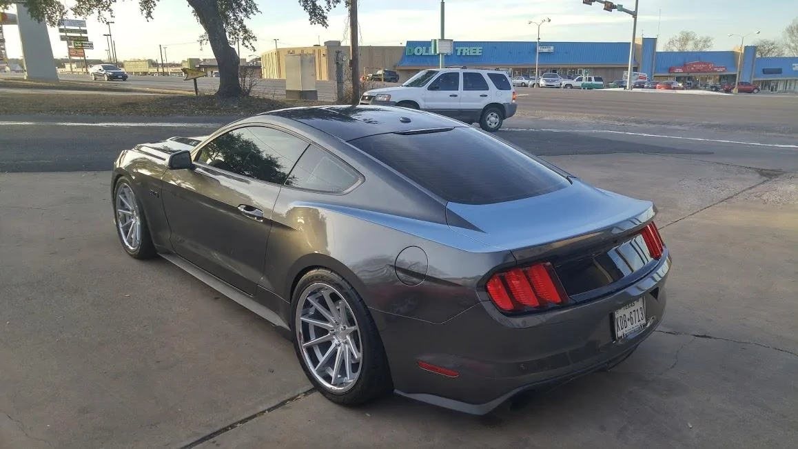 New Wrap.webp