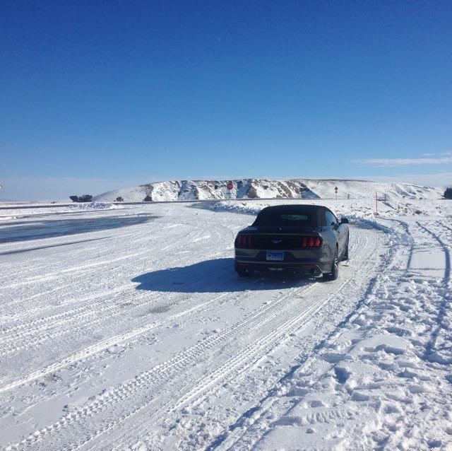 Badlands Mustang2.jpg