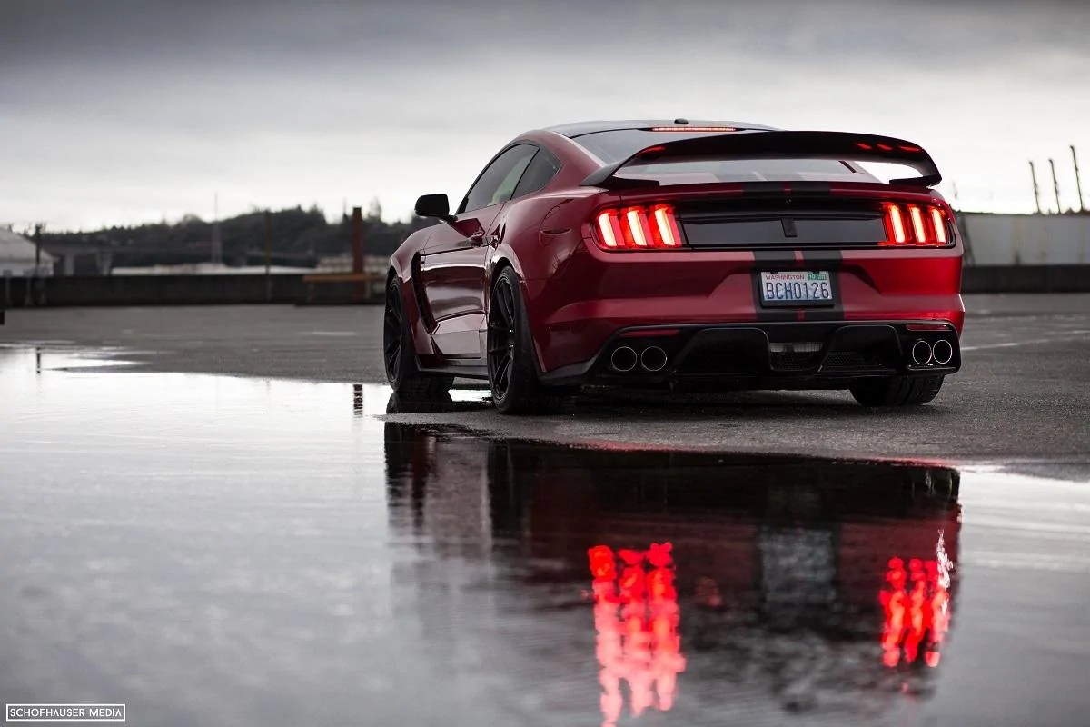 Rear tail lights.webp