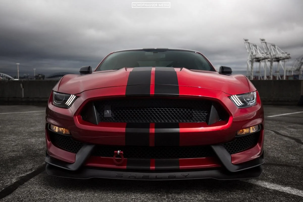 Front bumper.webp