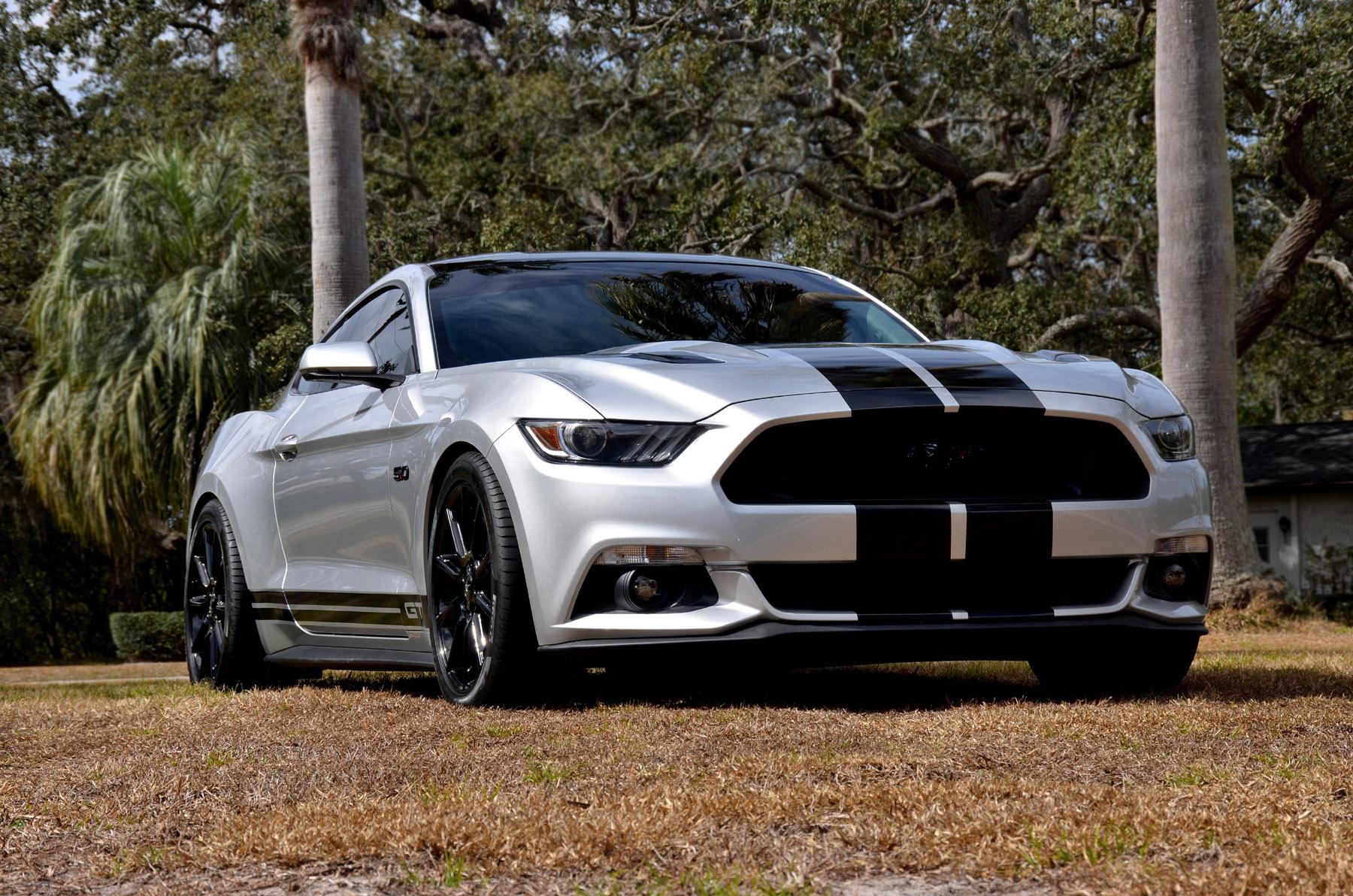 silver mustang.jpg