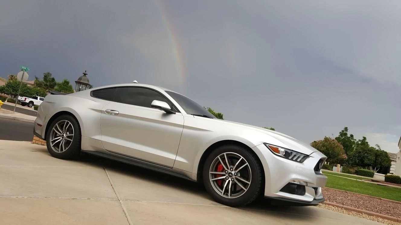 Mustang Side View.webp