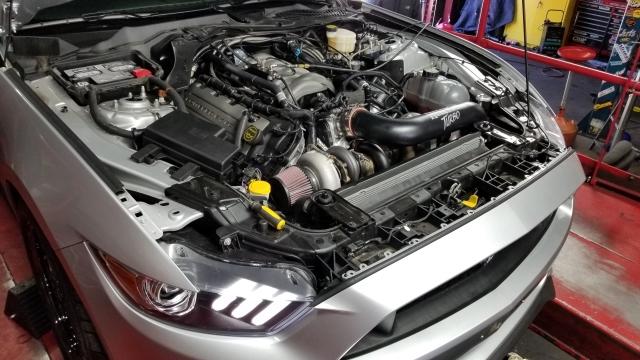 20180207_115630 (640x360).jpg