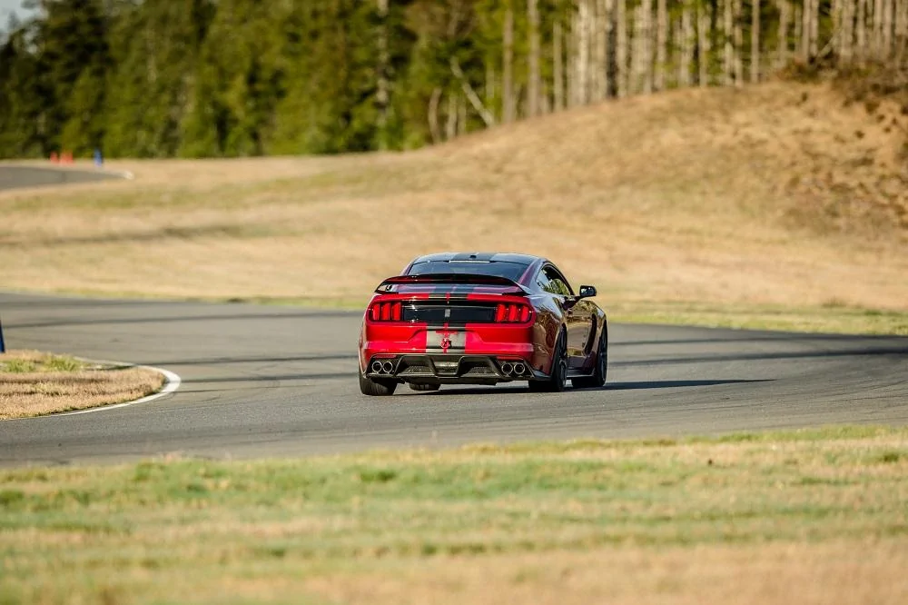 Rear turn 5.webp