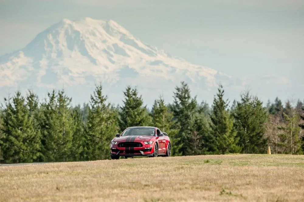 Mt Rainier.webp