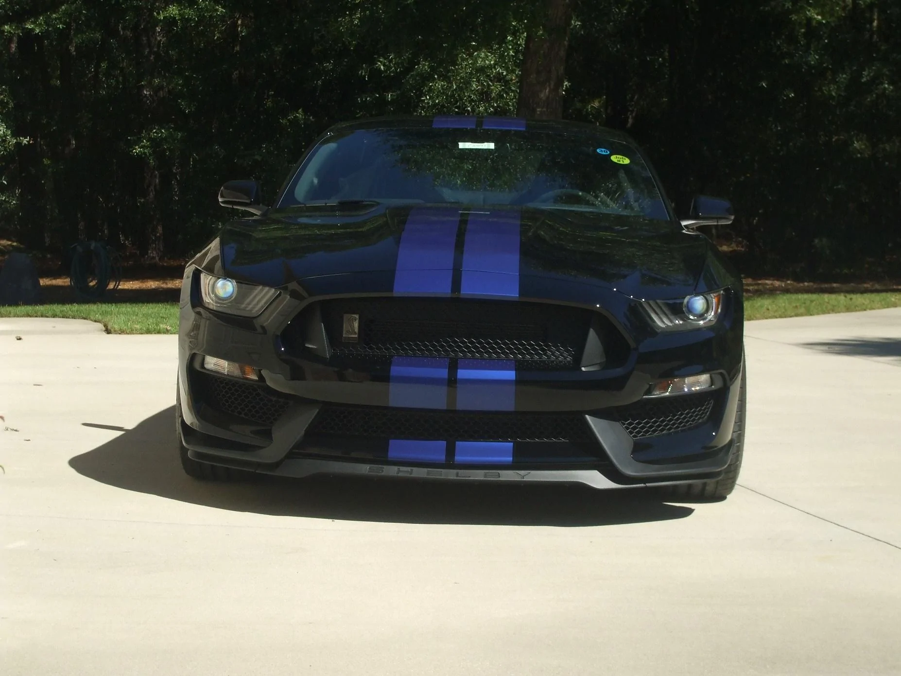F0077.webp