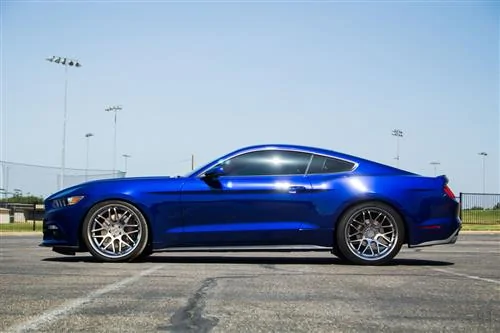 lrs-00709653d_7416.webp