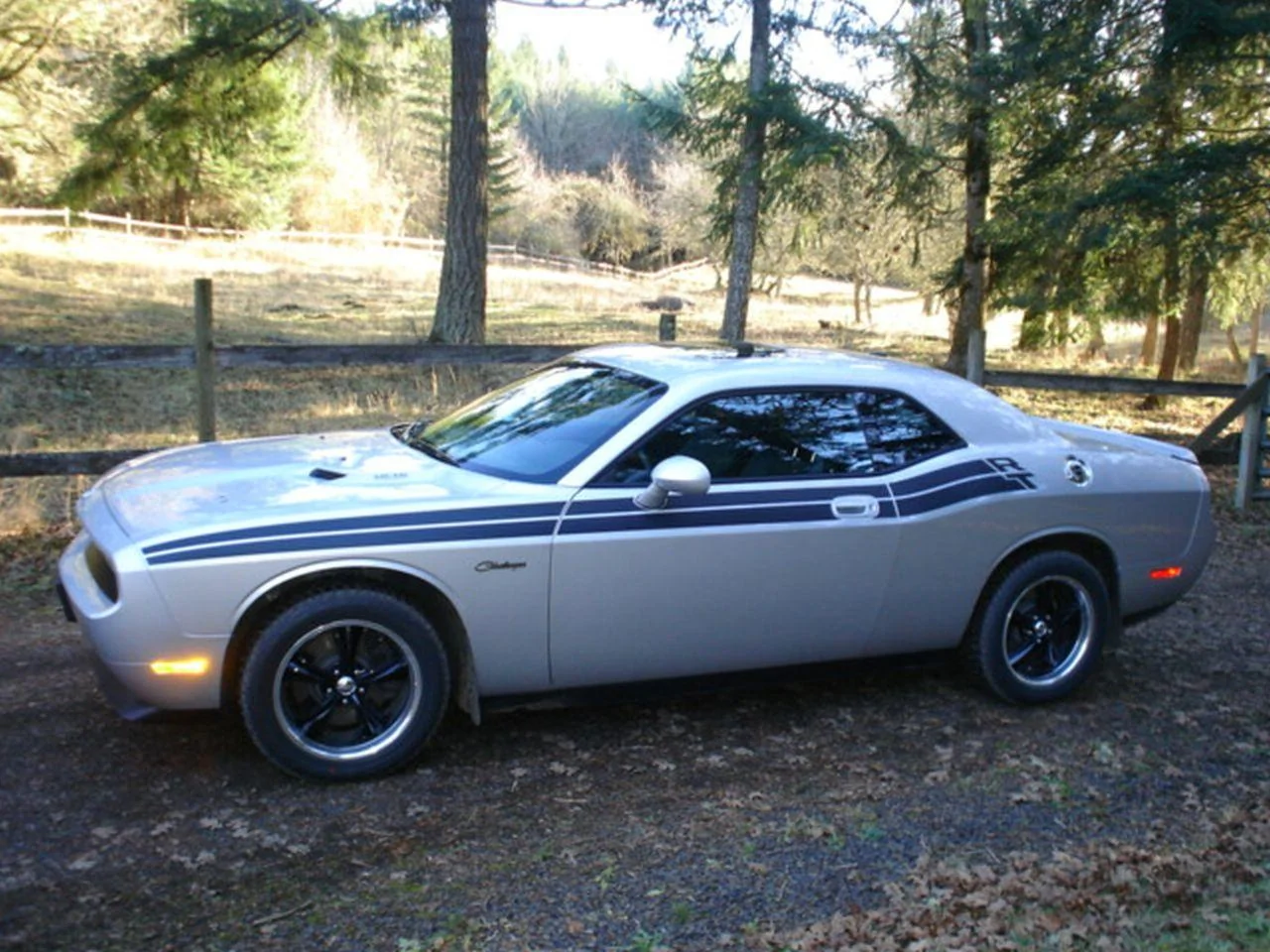 2 challenger.webp