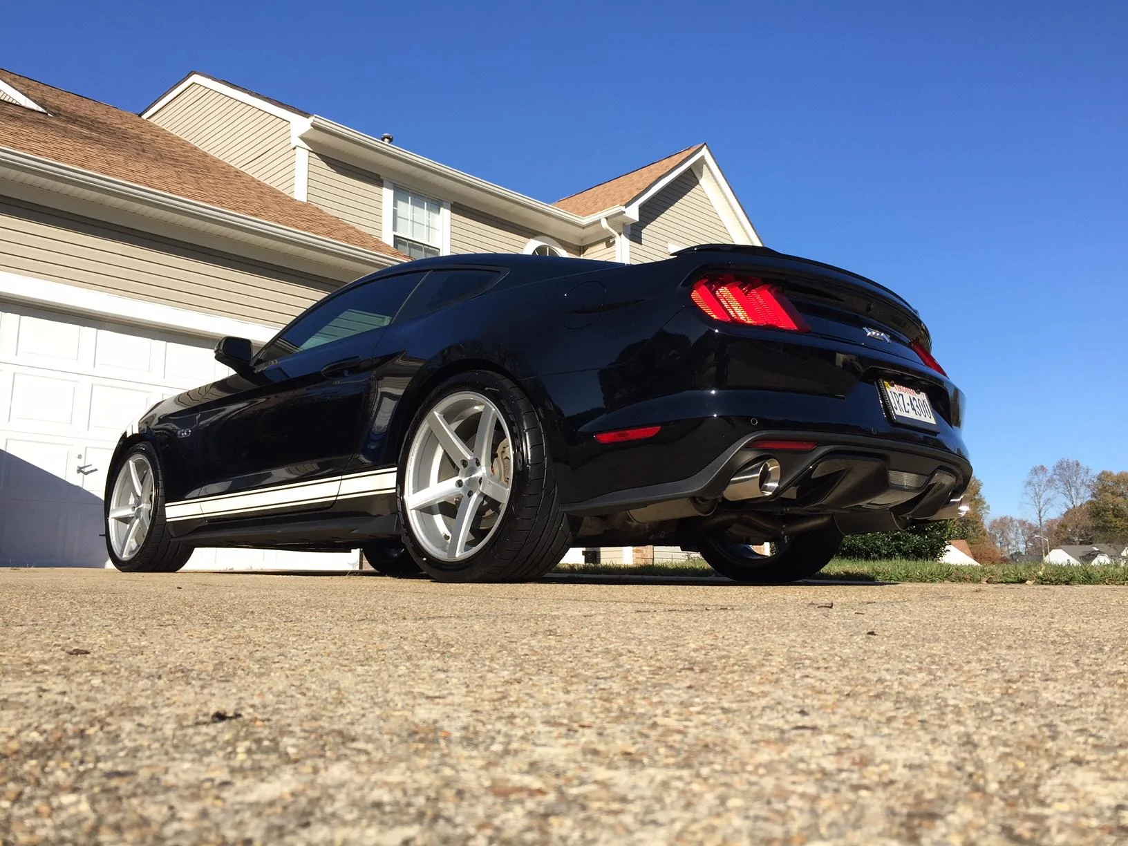 Clean Mustang2.webp