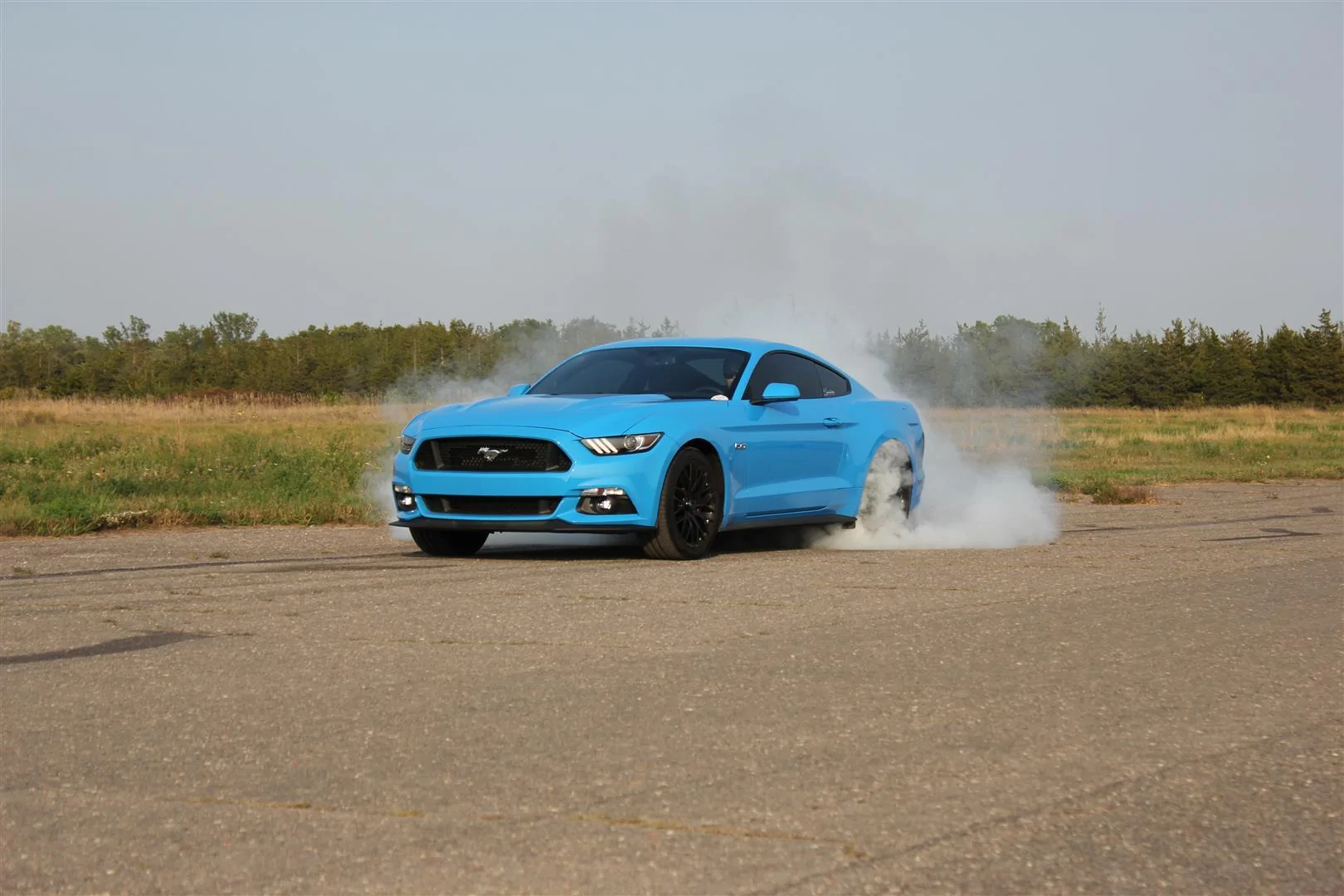 IMG_5833 (Large).webp