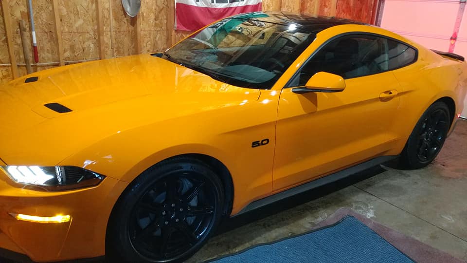 Stang.jpg