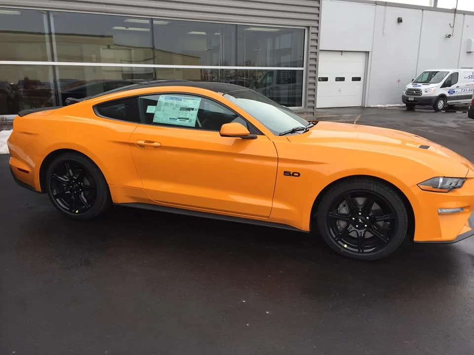 Stang3.webp