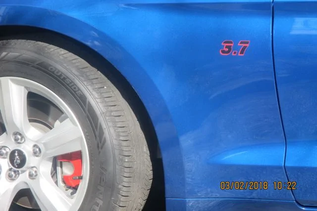 IMG_8271.webp
