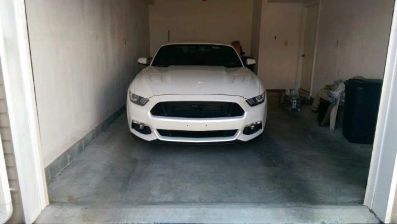 bstang.webp