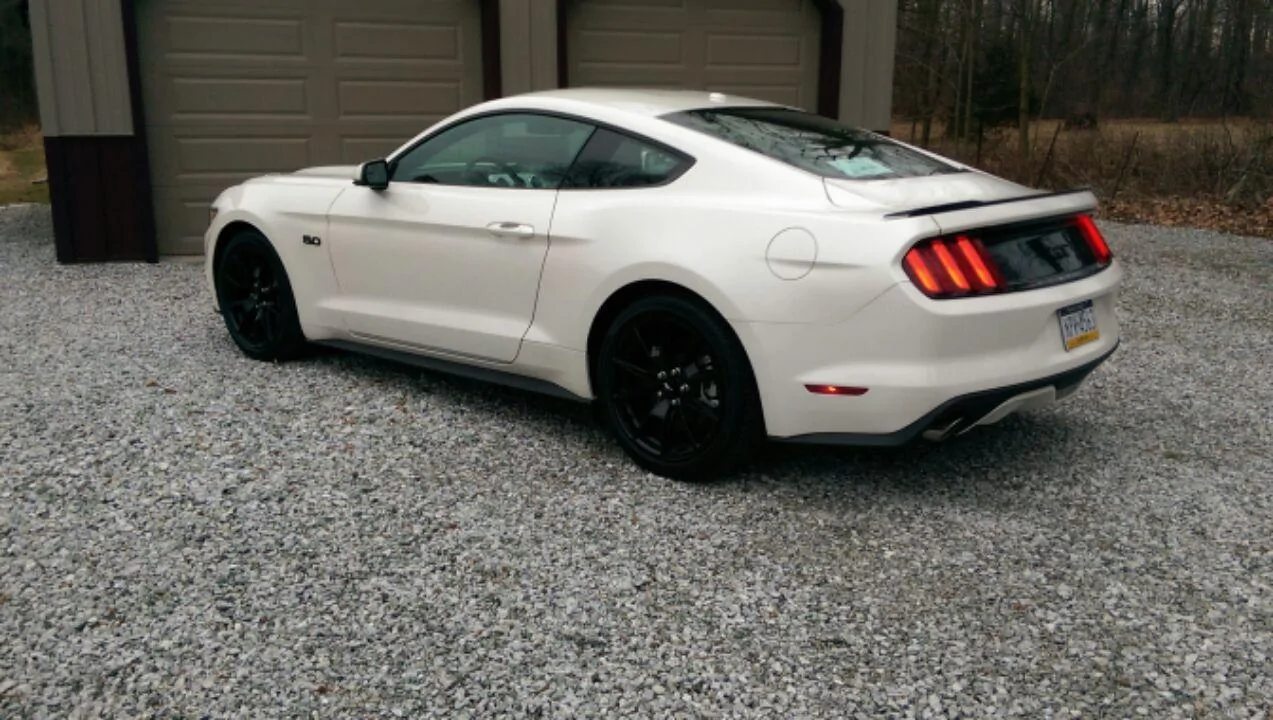 stang.webp