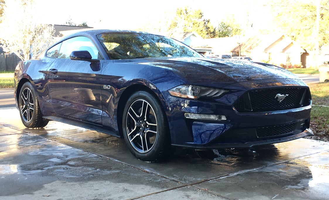 mustang.jpg