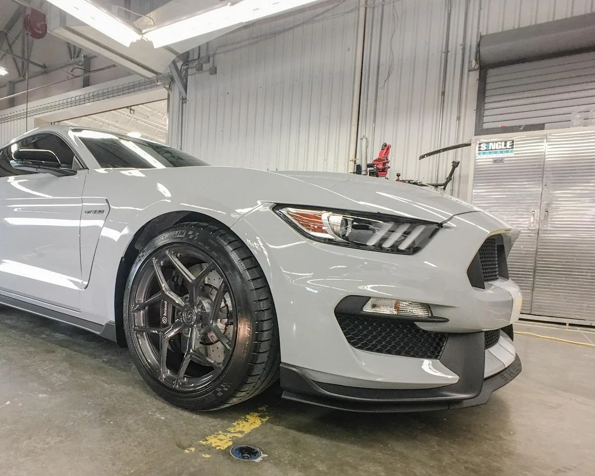 SV107 GT350 Billy (6 of 7).webp