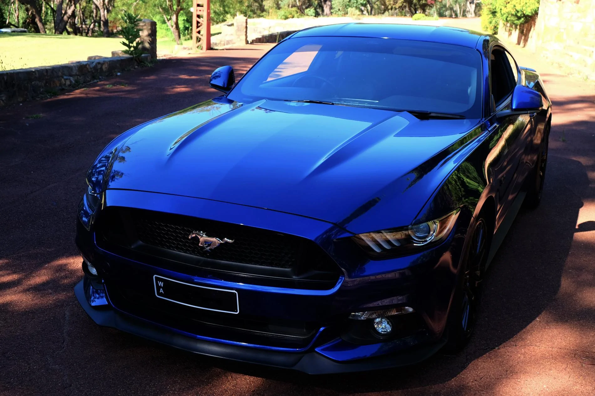 DSCF2221.webp
