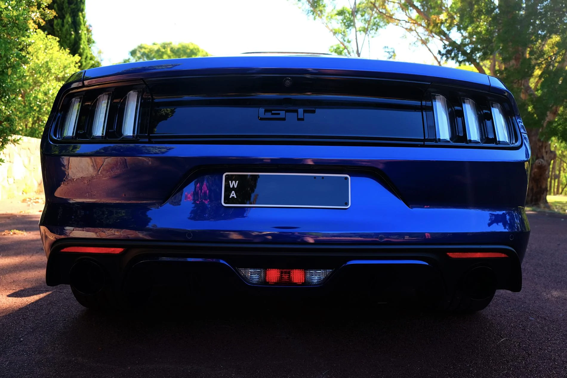 DSCF2279.webp