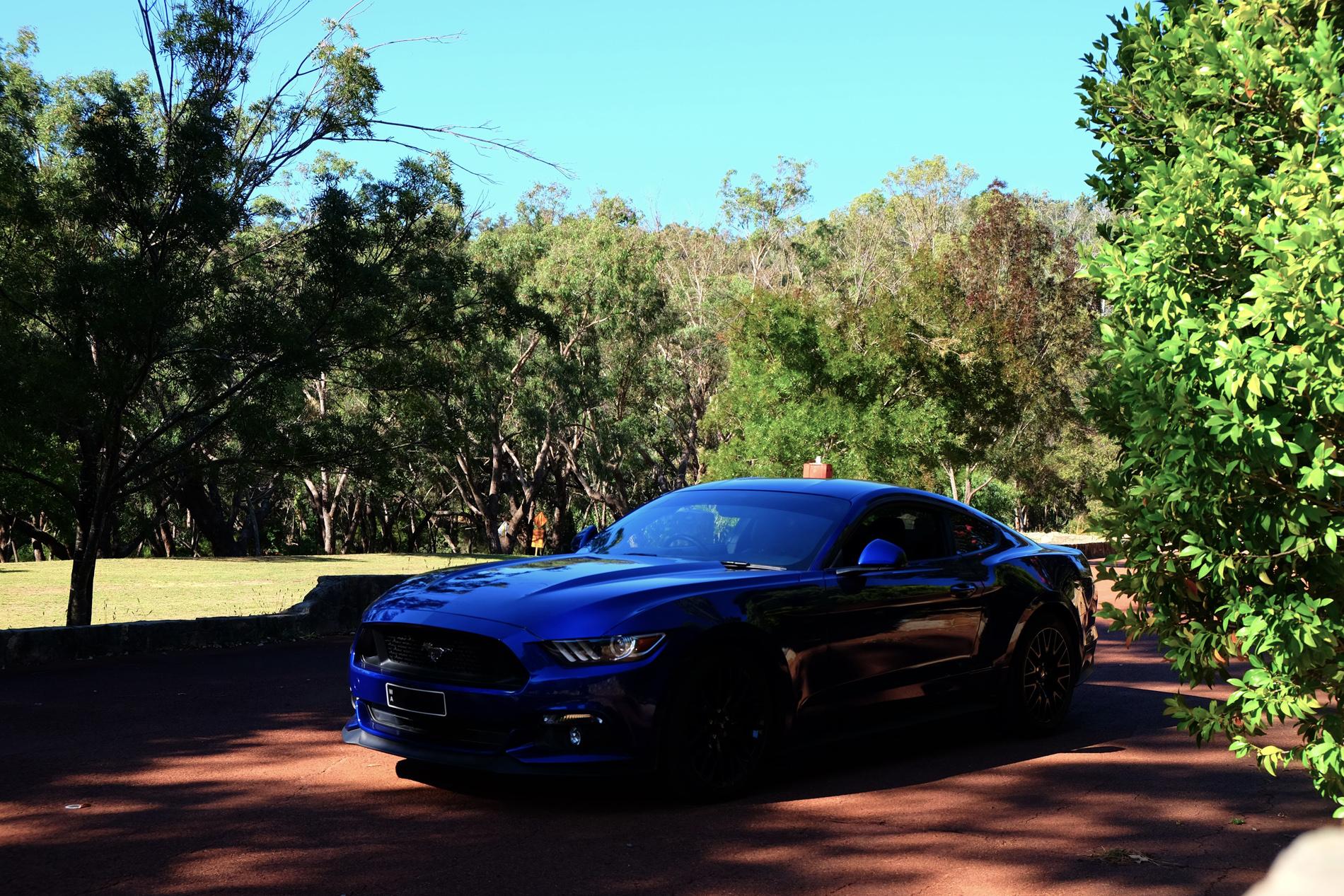 DSCF2292.jpg