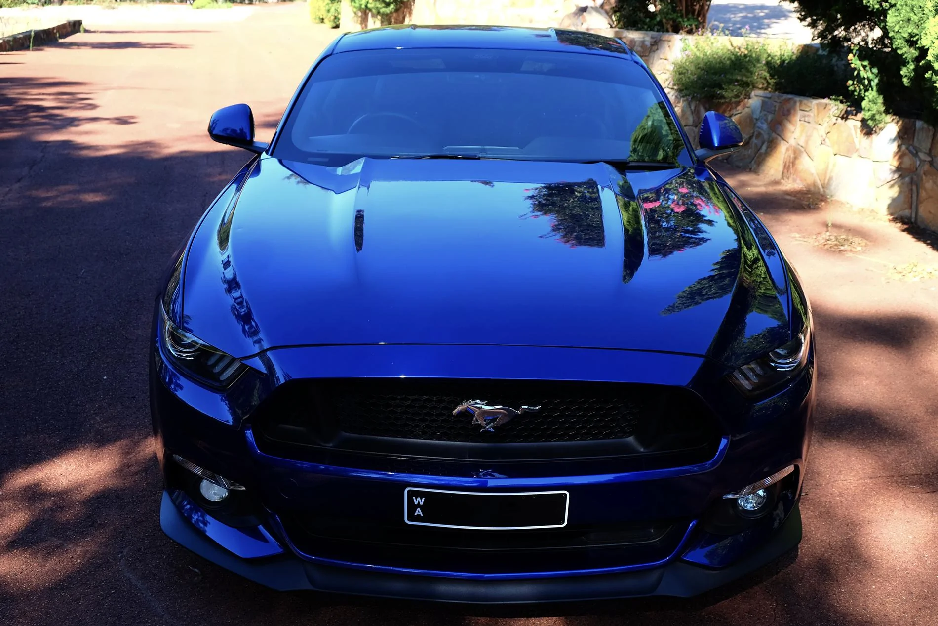 DSCF2222.webp
