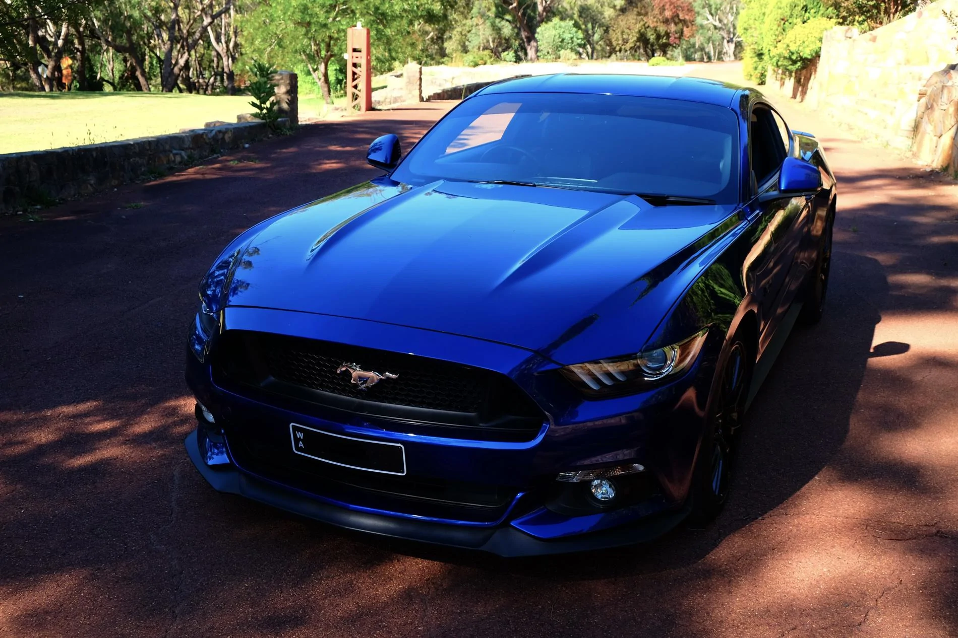 DSCF2220.webp