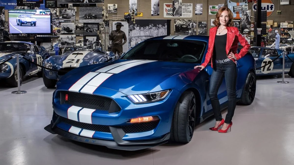 Shelby-Drawing.webp