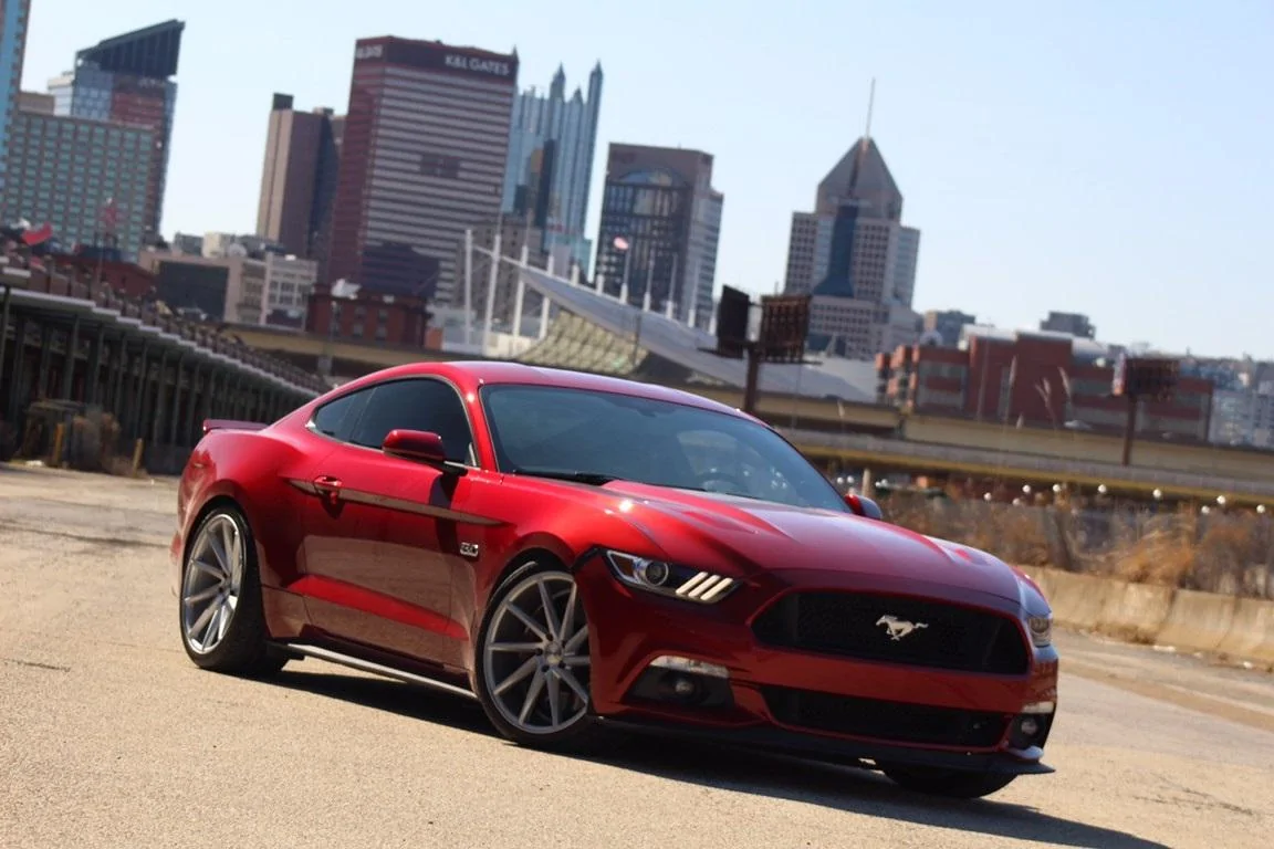 Stang Strip.webp