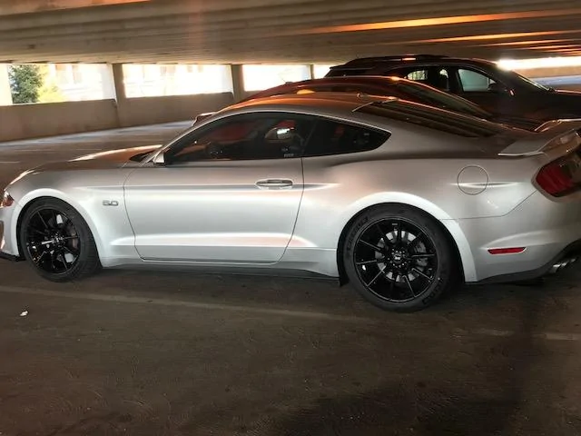 Eibach side view.jpg2.webp