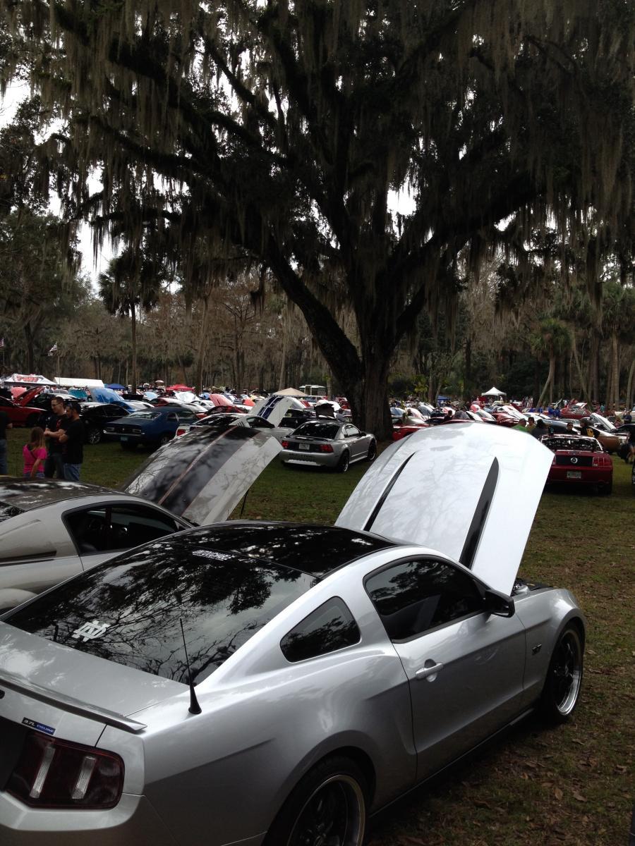 IMG_1412.jpg