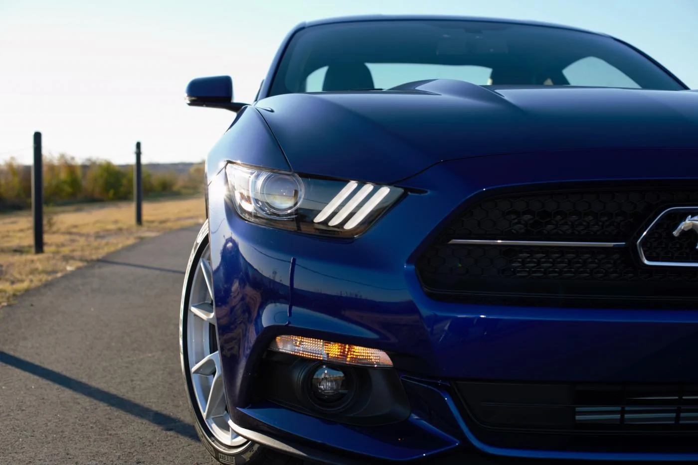 Mustang-23.webp