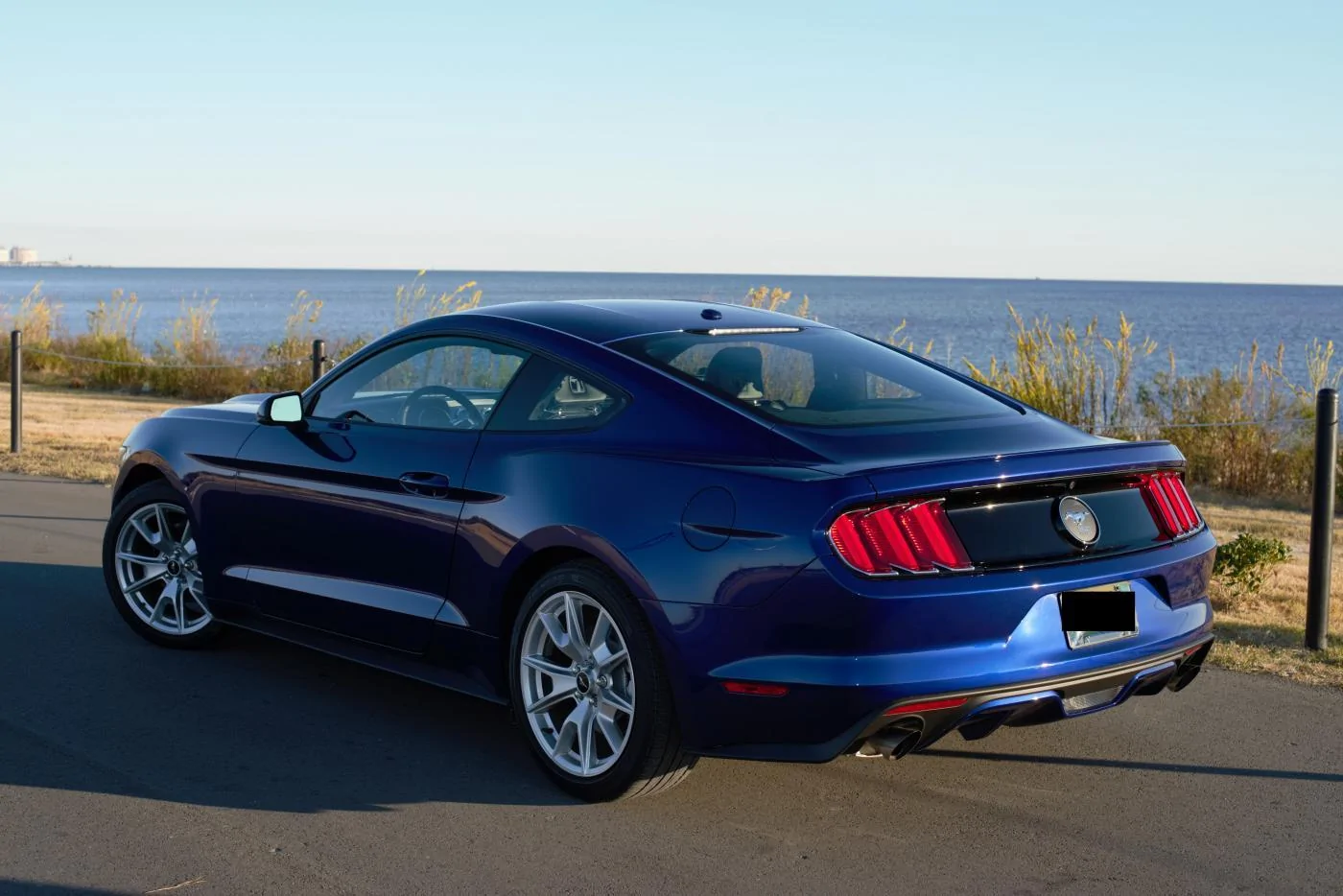 Mustang-28.webp