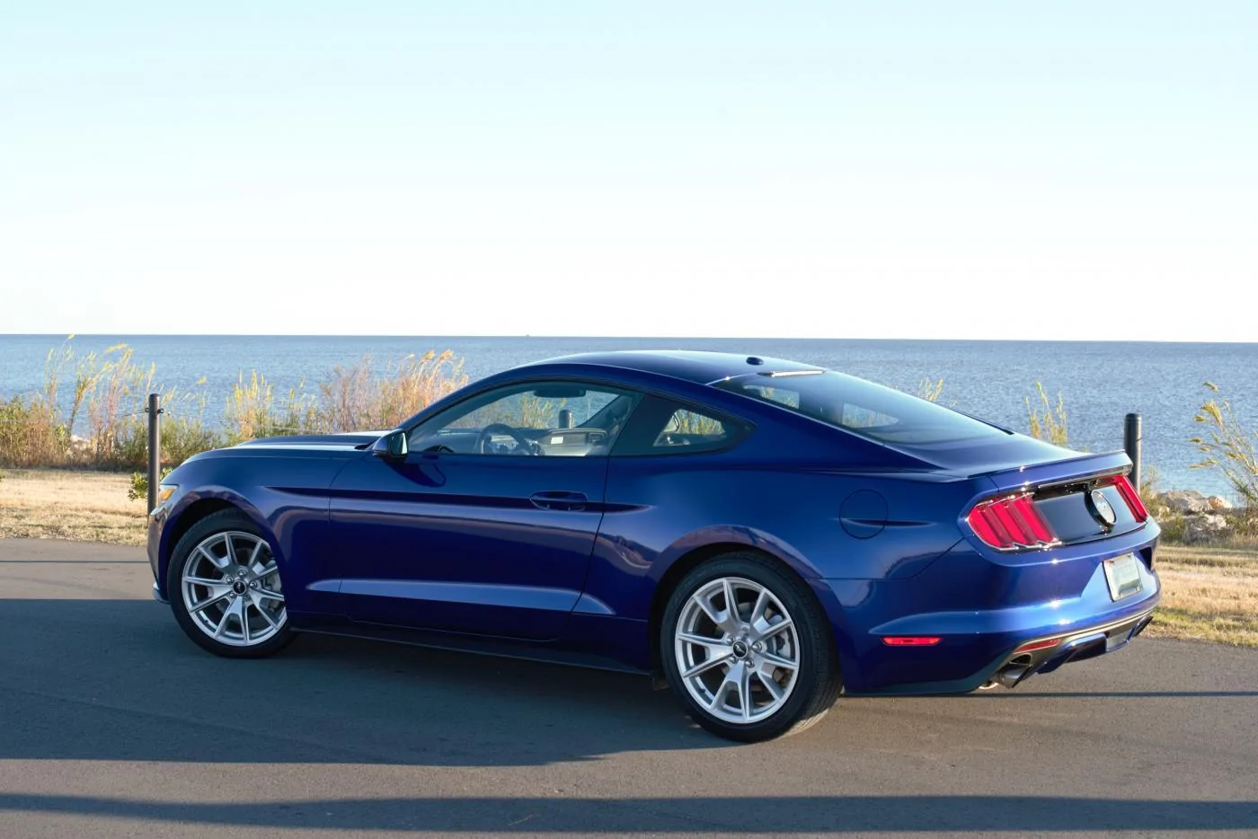 Mustang-32.webp