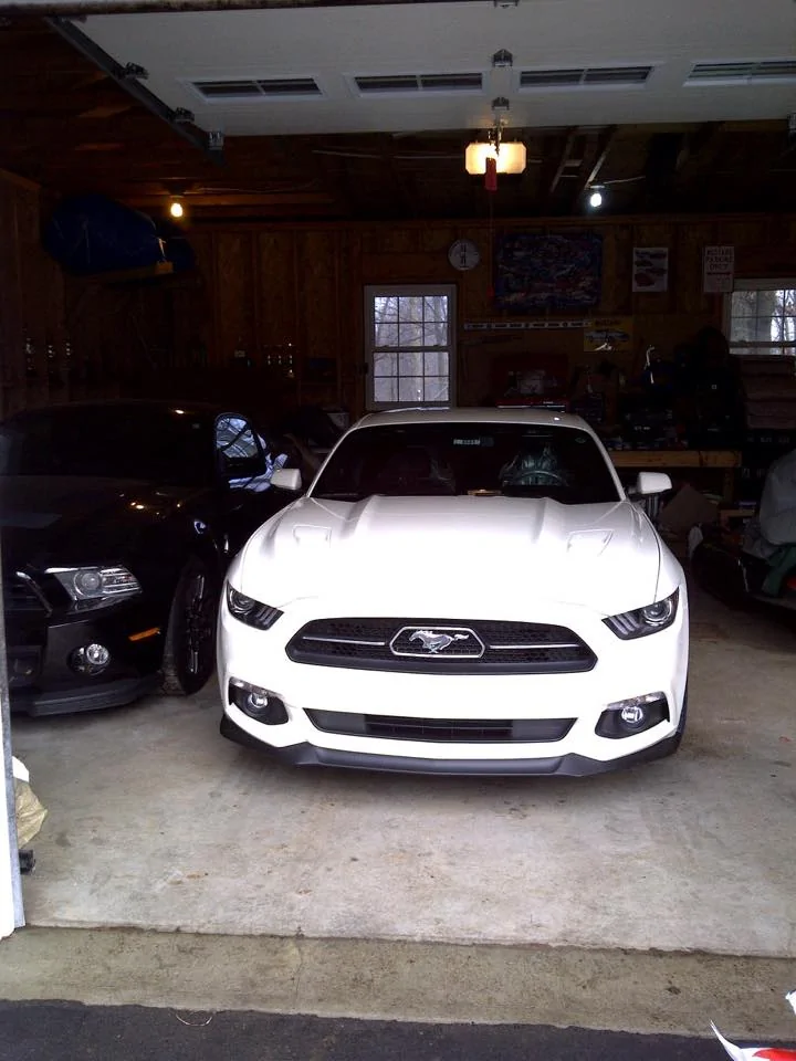 2015 mustang.webp