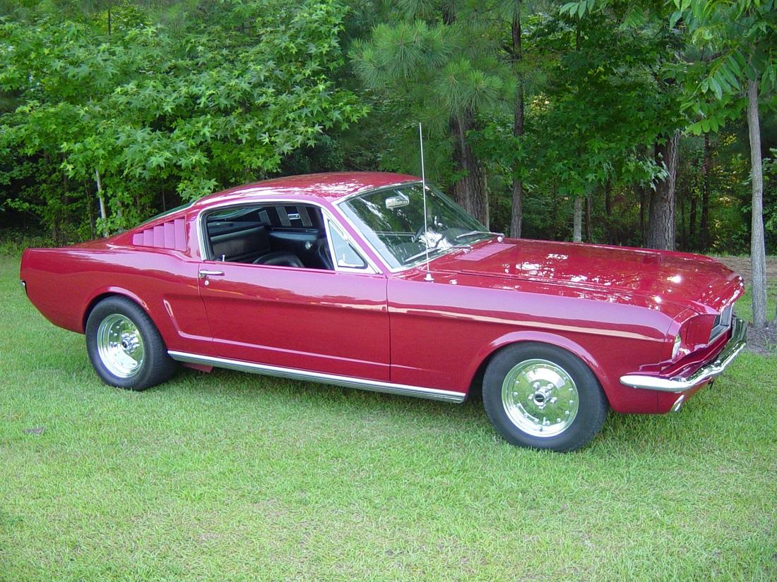 65 resized.jpg