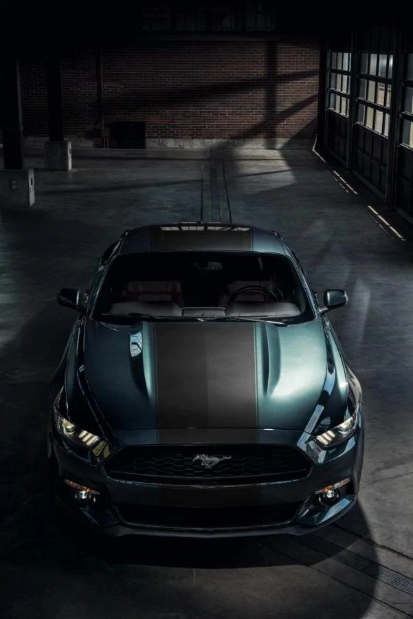 guard stripe.webp