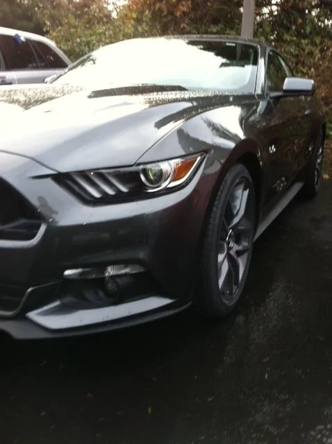 Mustang 2015 1.webp