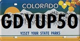 GDYUP5O_CO Plate.webp