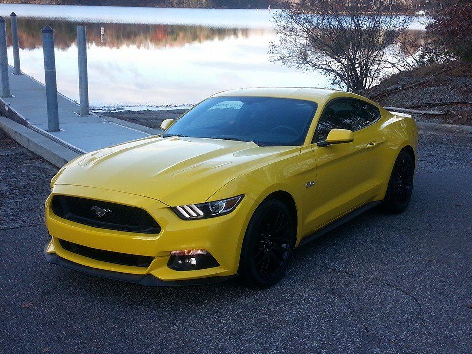 mustang 15.jpg